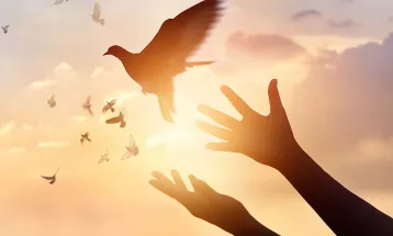 
                                                قصص واقعية – قصة : 085 - العفو صفة من صفات المحسنين