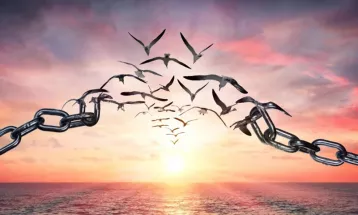 
                                                قضايا معاصرة : 62 -  ثقافة العفو