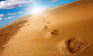 
                                                من أجمل ما قرأ الدكتور : الرد على من تحدث عن دعم المسلم