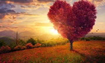 
                                                أحاديث رمضان 1447هـ - مختارات رمضانية: 19  - لا يُؤمِنُ أحدُكُمْ