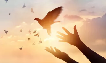 
                                                أحاديث رمضان 1447هـ - مختارات رمضانية: 23  - رمضان شهر الغفران