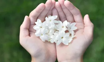 
                                                أحاديث رمضان 1447هـ - مختارات رمضانية: 27  - المؤمن شاكر وحامد